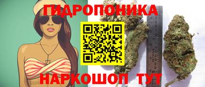 дмт Ликино-Дулёво