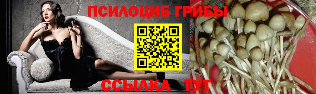 Псилоцибиновые грибы Magic Shrooms  Вход с VPN  цена   Псилоцибиновые грибы Cubensis  Дзержинск 
